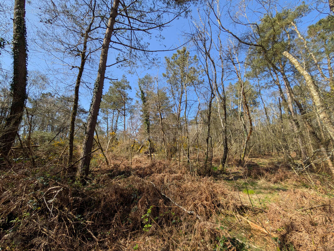 Terrain à CAMPENEAC