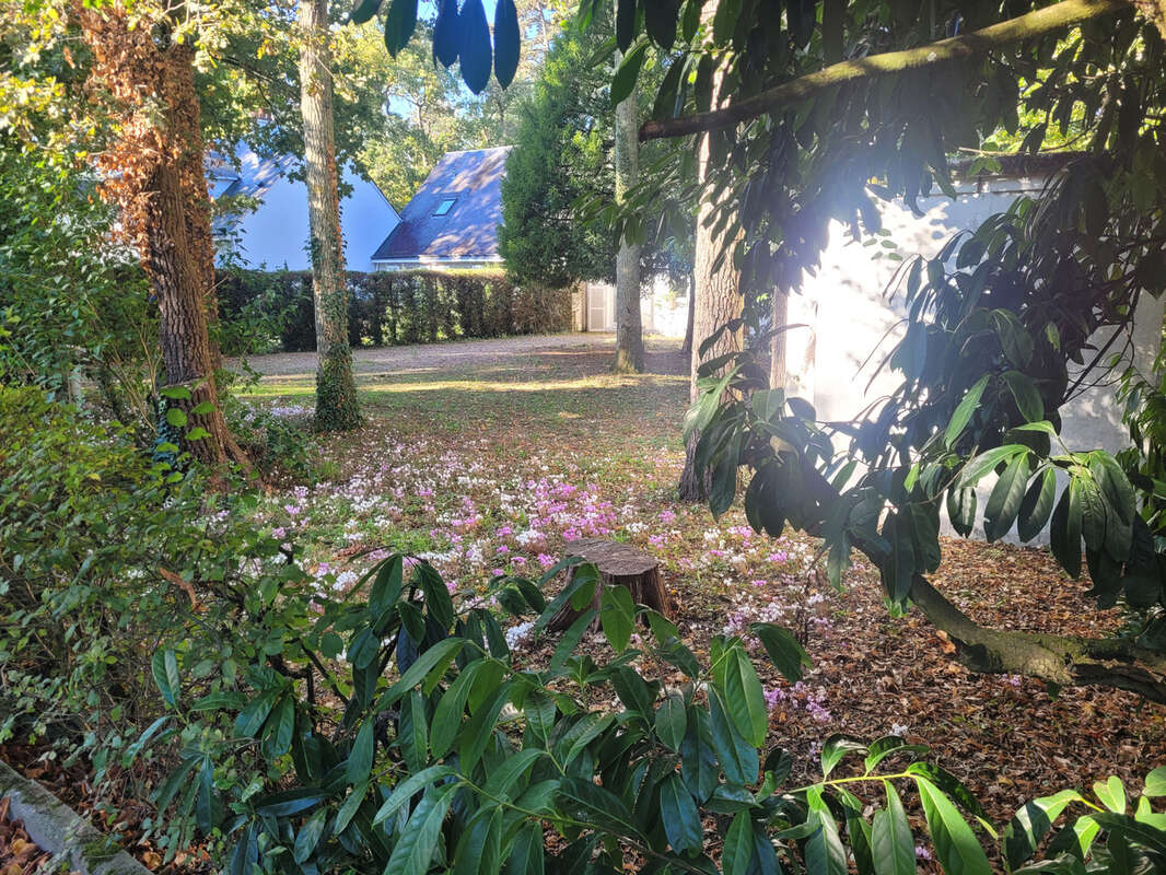 Maison à SAINT-AVERTIN