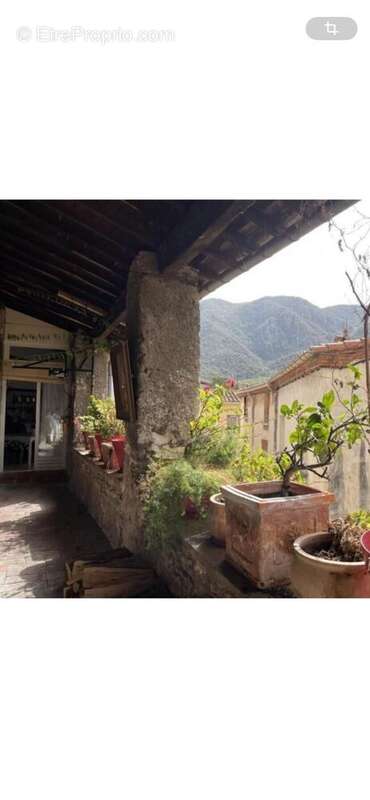 Photo 8 - Appartement à ARLES-SUR-TECH