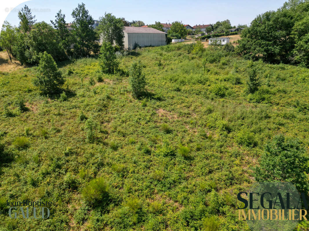 Terrain constructible de 4 526 m2 à Mirandol-Bourgnounac - photo 19