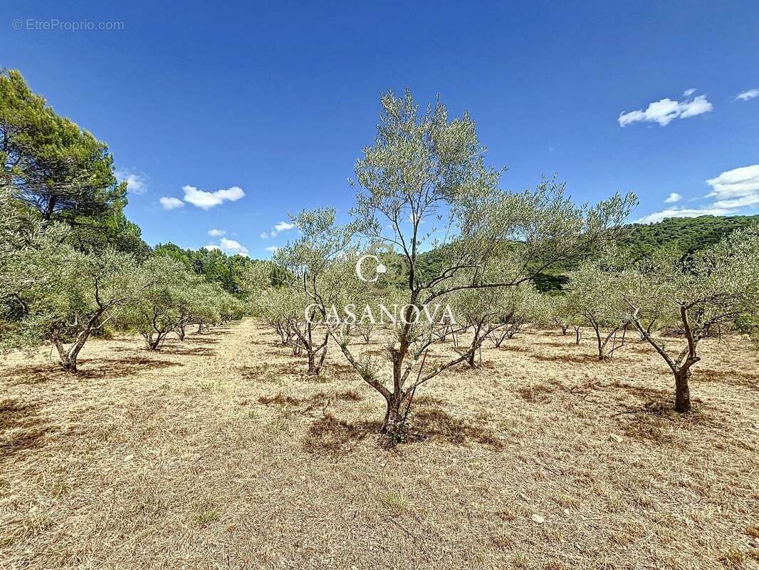 Maison à CLERMONT-L'HERAULT