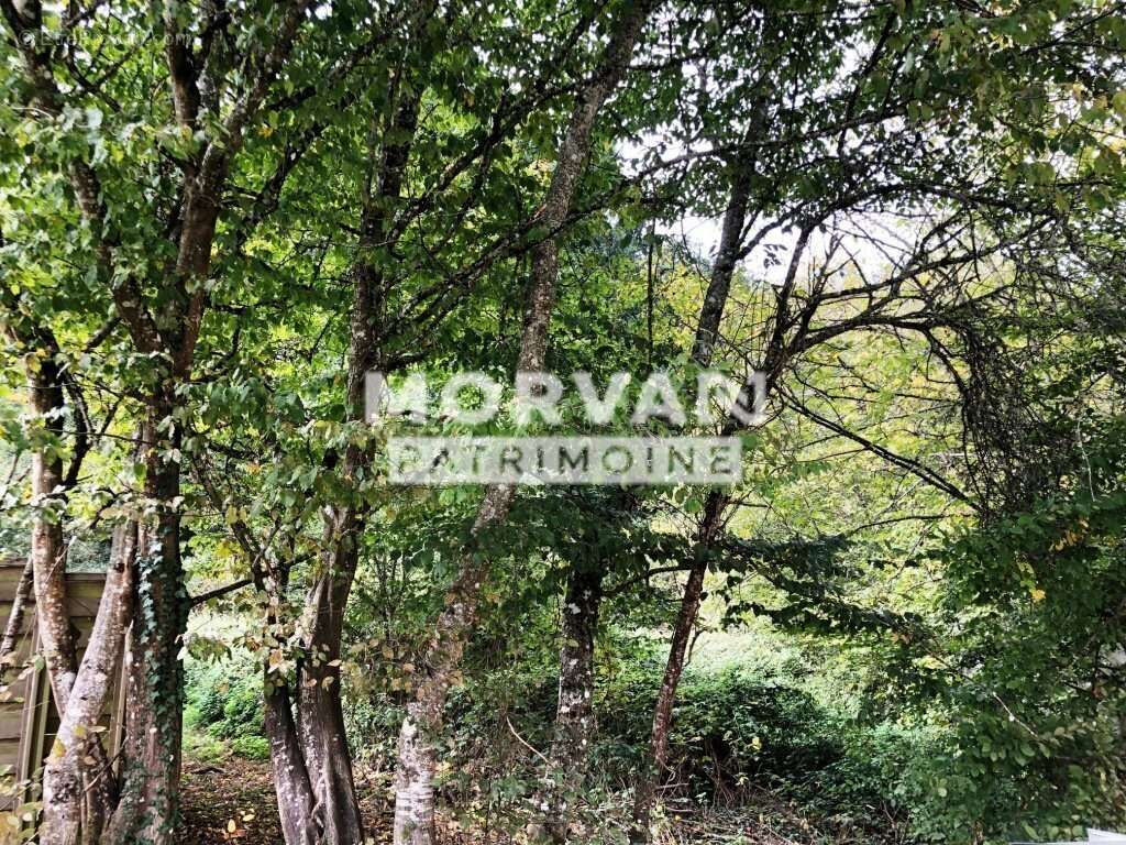 Terrain à SAINT-SAULGE