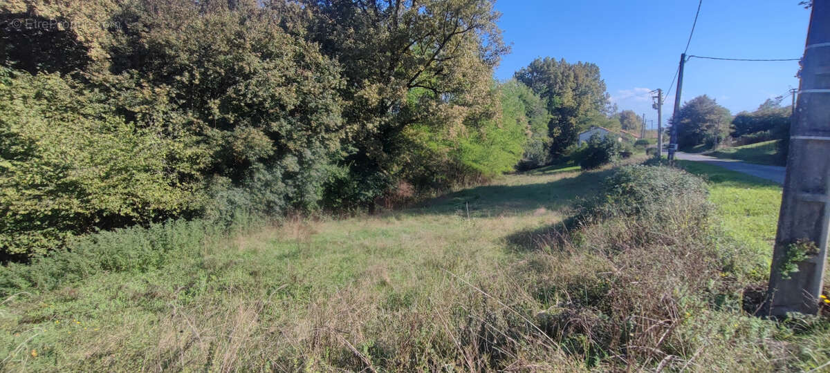 Terrain à VIC-EN-BIGORRE