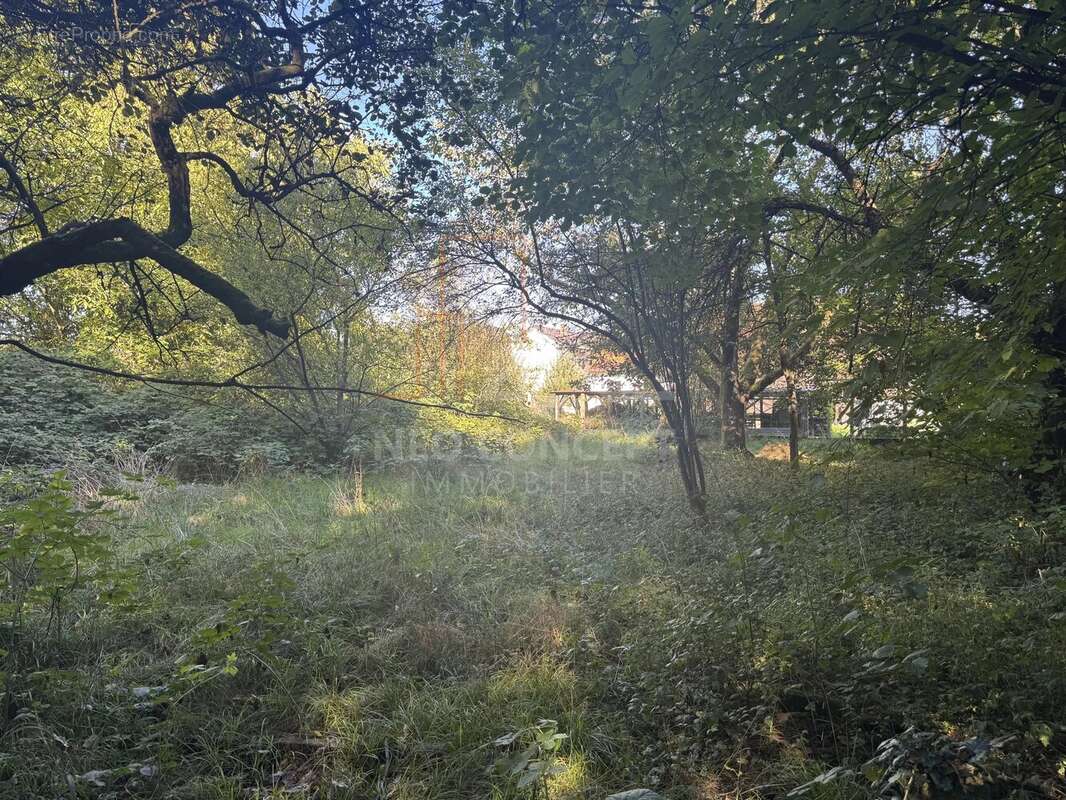 Terrain à ROUNTZENHEIM