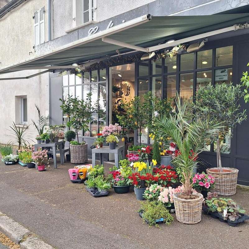 Photo 6 - Commerce à LE CREUSOT