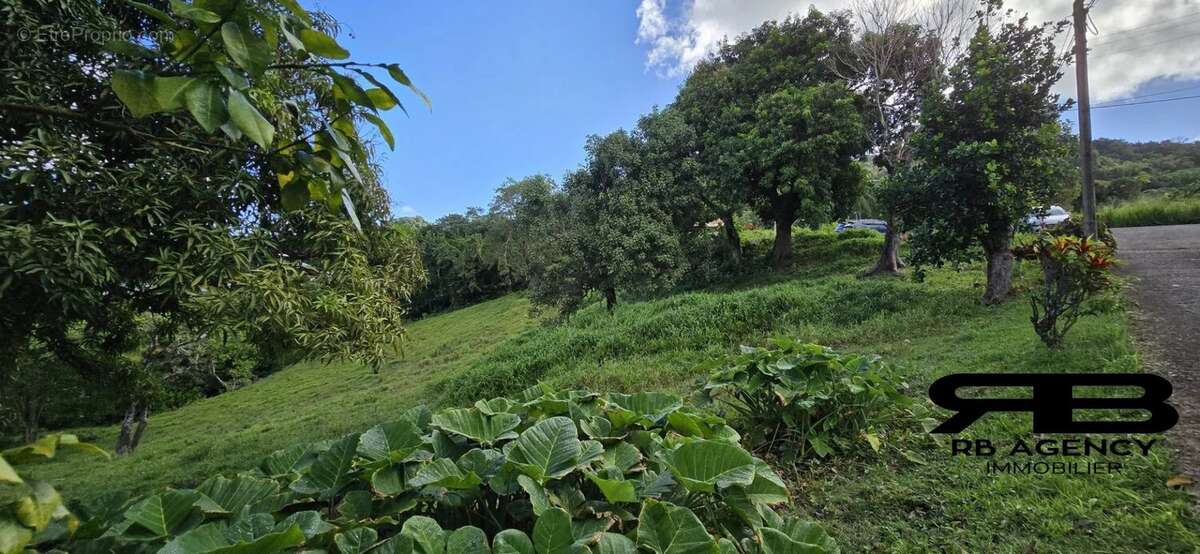 Terrain à LE ROBERT