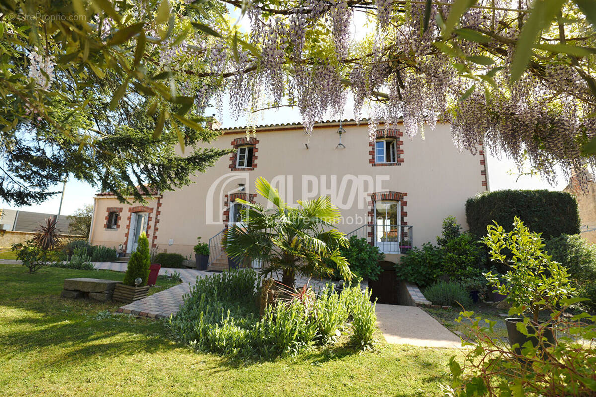 Maison à VENANSAULT