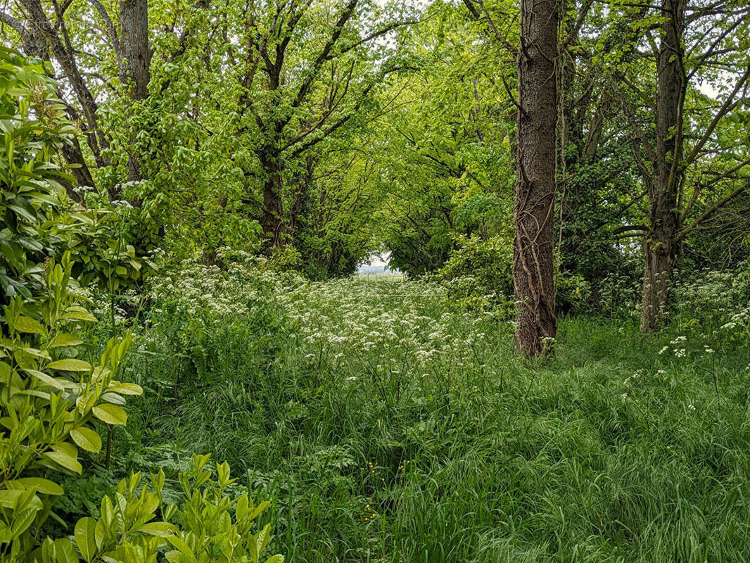 Terrain à MIGNE-AUXANCES