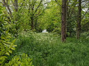 Terrain à MIGNE-AUXANCES