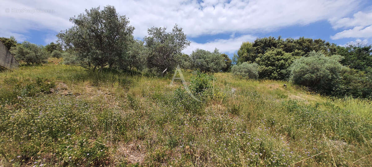 Villa lumineuse sur les hauteurs de Corbieres En Provence - photo 9