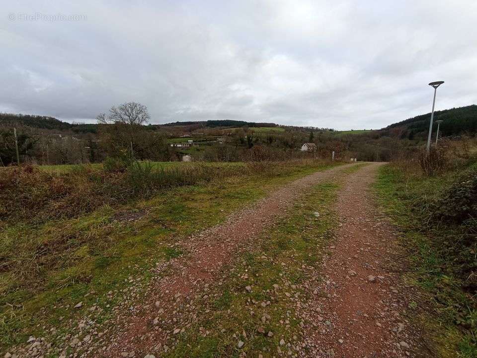 Terrain à FERRIERES-SUR-SICHON