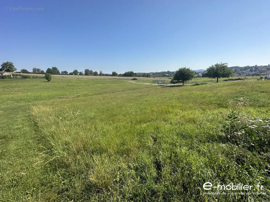 Terrain à LA CLAYETTE