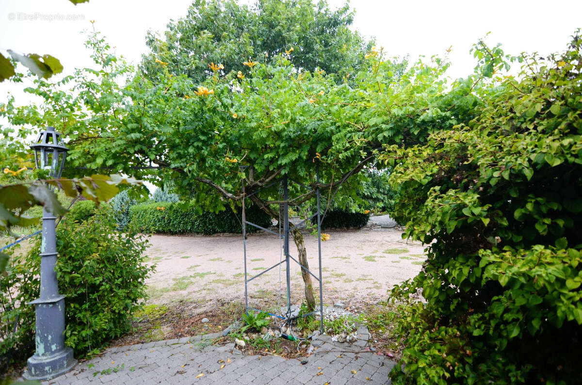 Maison à CURDIN