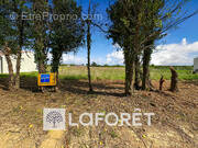 Terrain à SAINT-QUANTIN-DE-RANCANNE