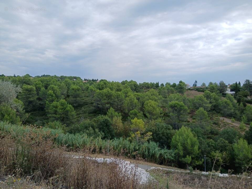 Terrain à COMBAILLAUX