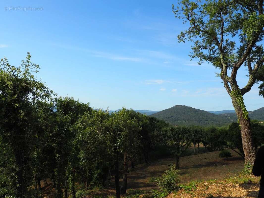Maison à La Garde-Freinet  - photo 3