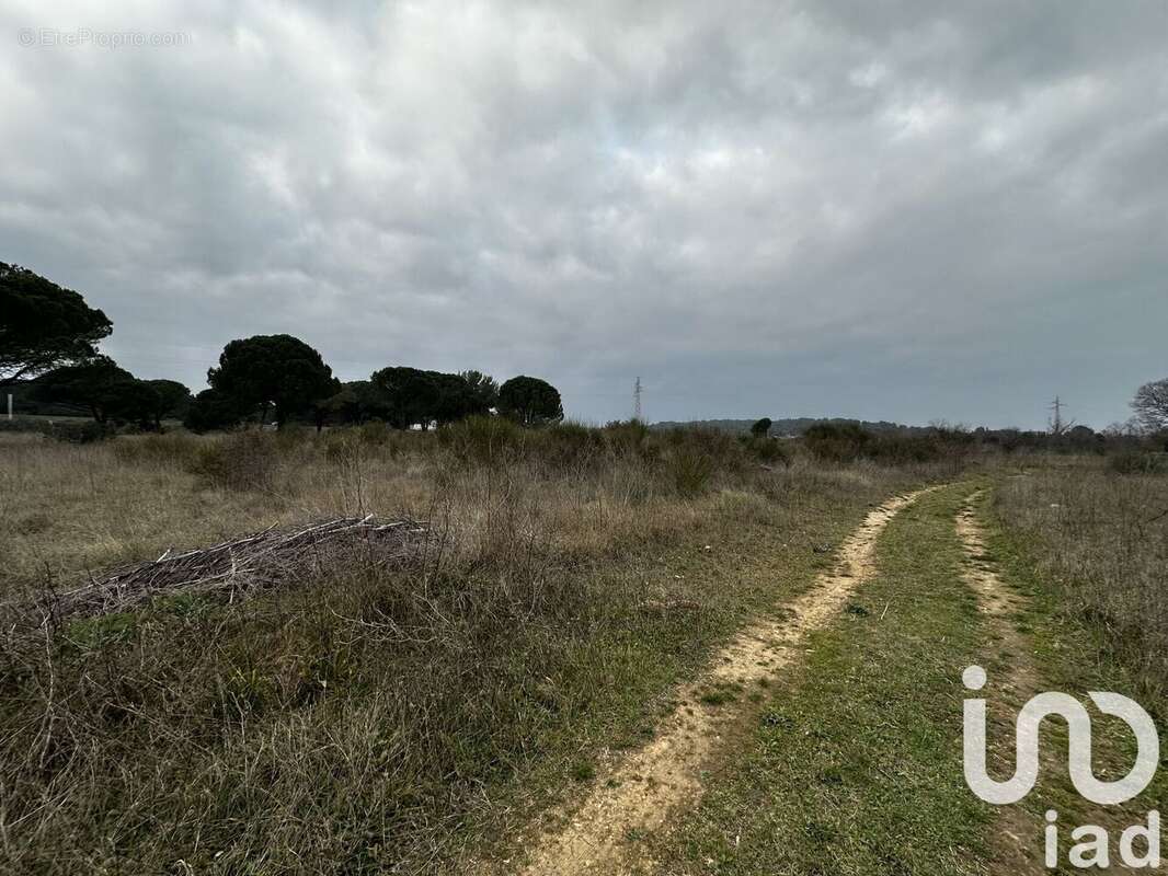 Photo 2 - Terrain à BERNIS