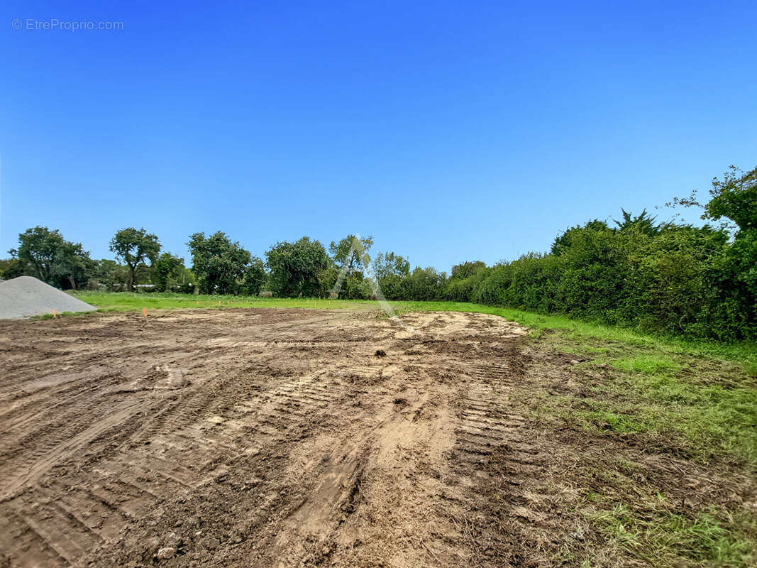 Terrain à NOTRE-DAME-DE-MONTS