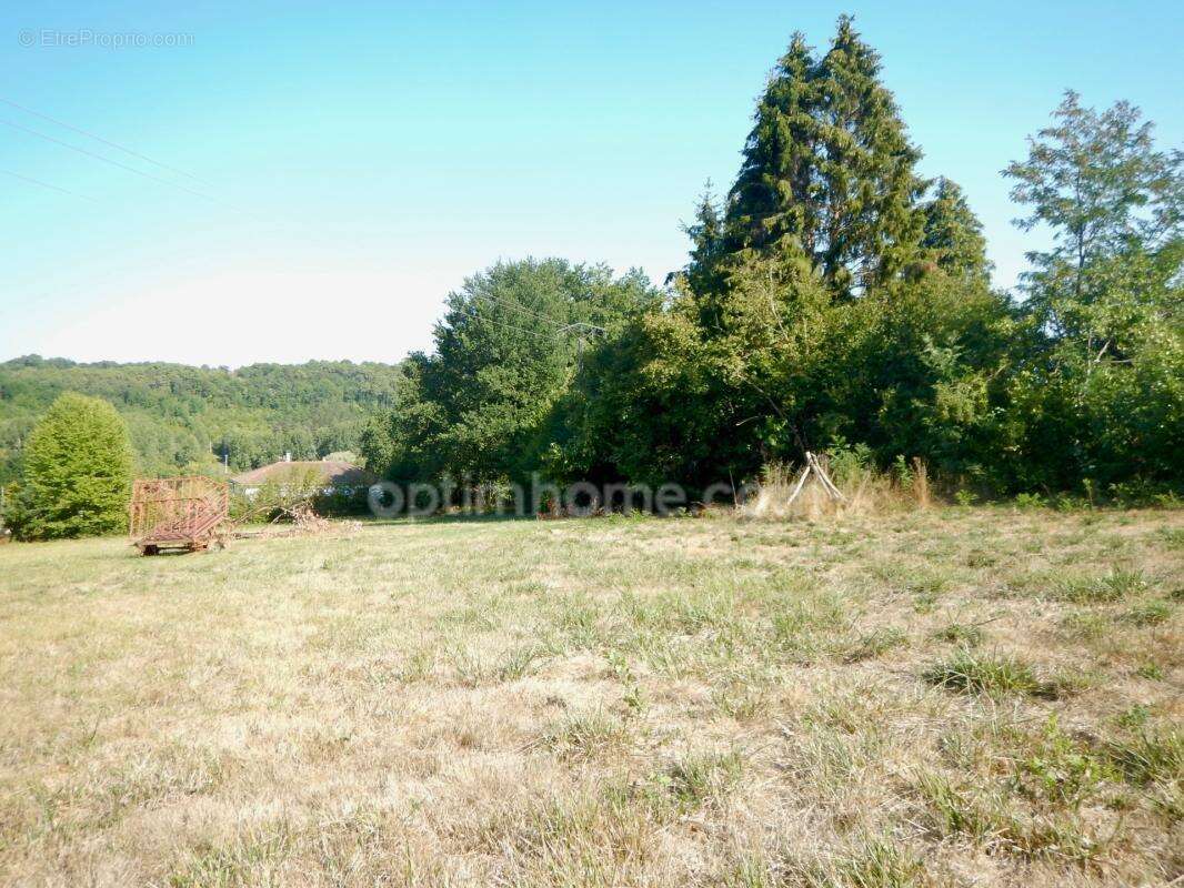 Terrain constructible 2918 m² CHATEAU-L'EVEQUE (24) - photo 2