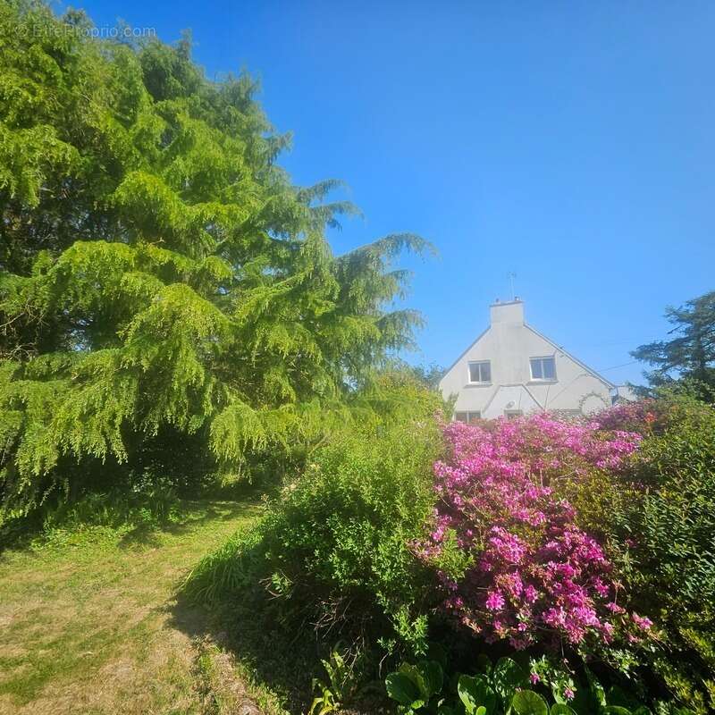 Maison au calme sur 3300 m2 de terrain arboré - photo 3