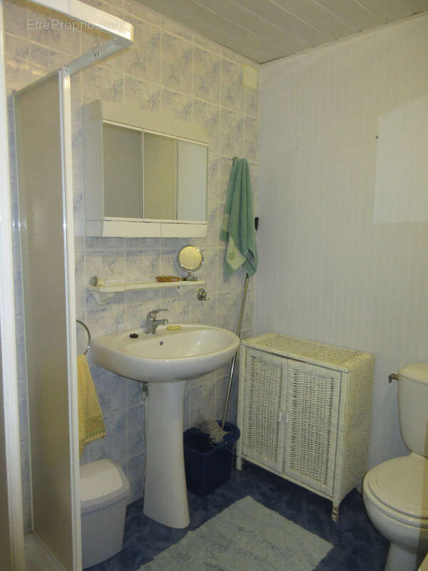 Maison à ARGENTON-SUR-CREUSE