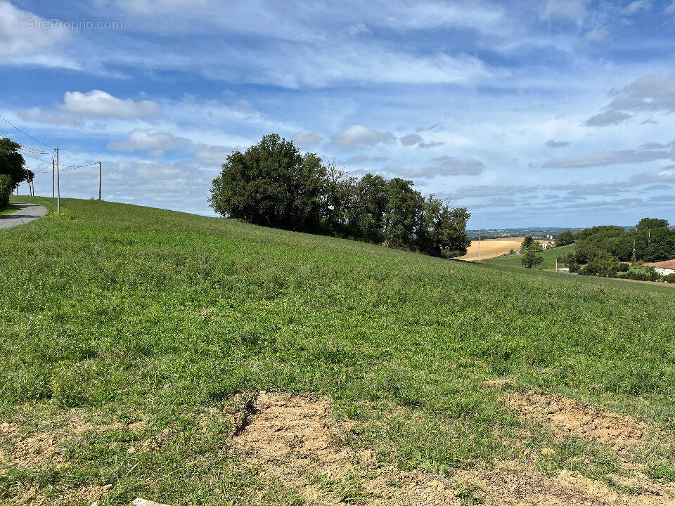 Terrain à CARLUS