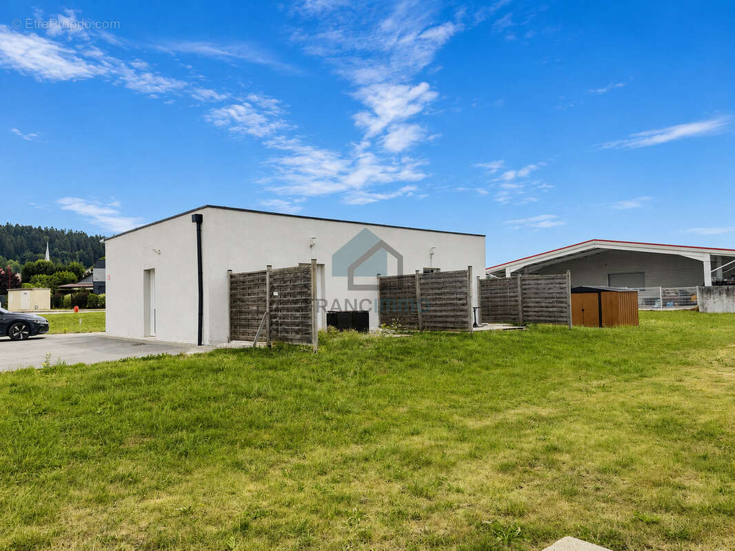 Damprichard - local commercial - photo 19