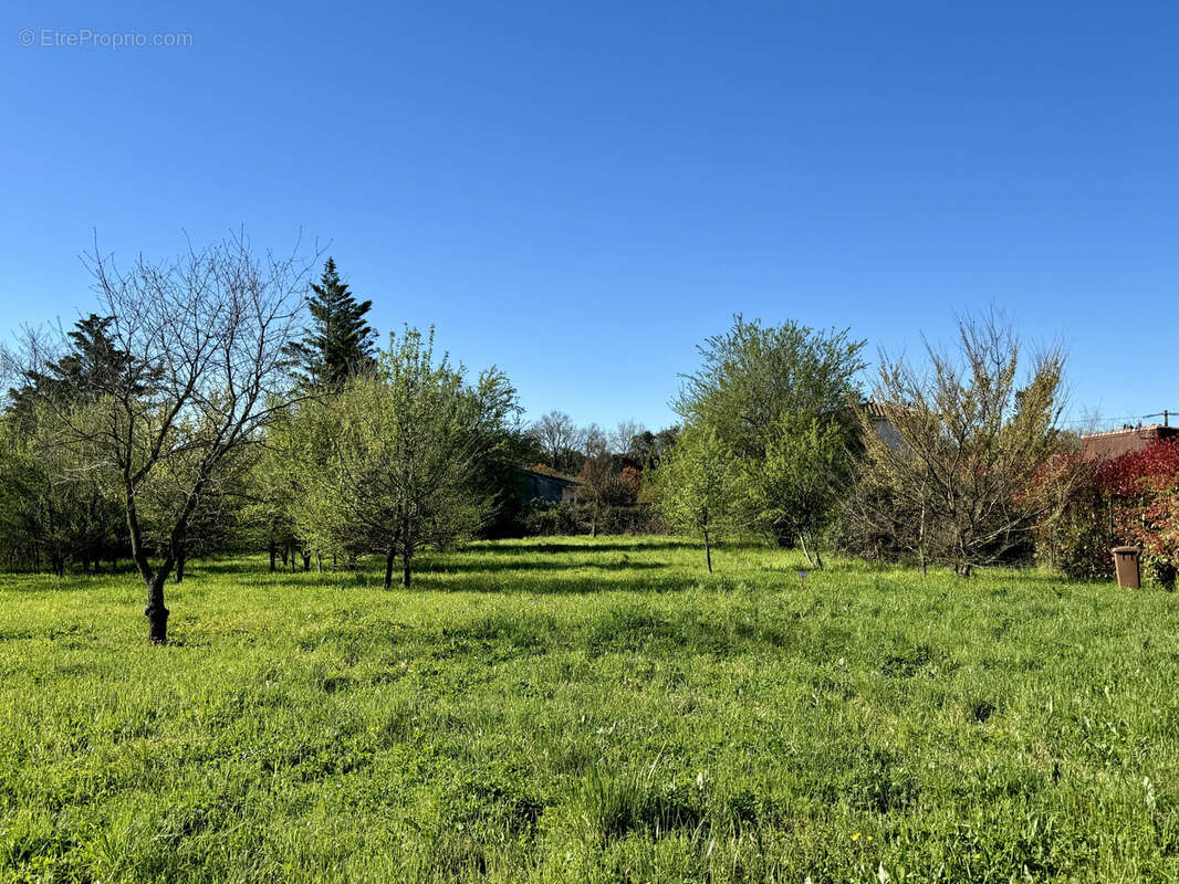 Terrain à LA BRUGUIERE