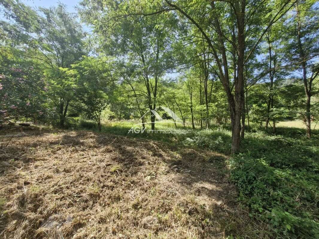 Commerce à SAINT-JEAN-DE-VALERISCLE