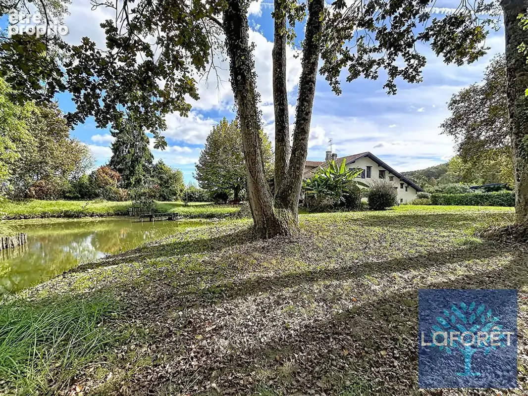 Propriété d'exception - 5,7 ha - Etang et Forêt - 483 m² - 10 chambres  - Piscine - photo 1