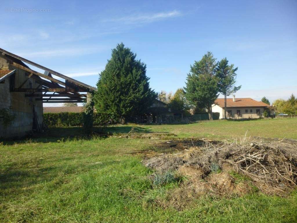 Terrain à AMBERIEUX-EN-DOMBES