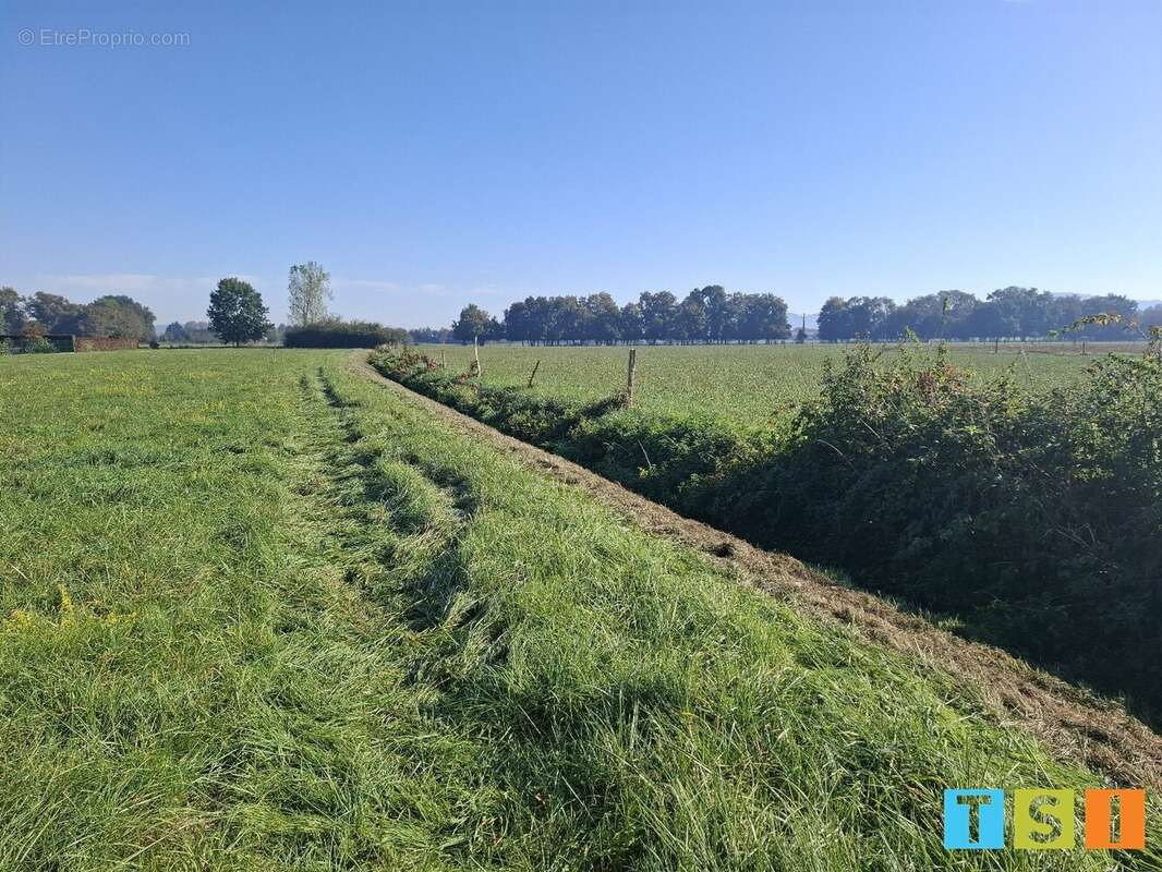 Terrain à MARTRES-DE-RIVIERE