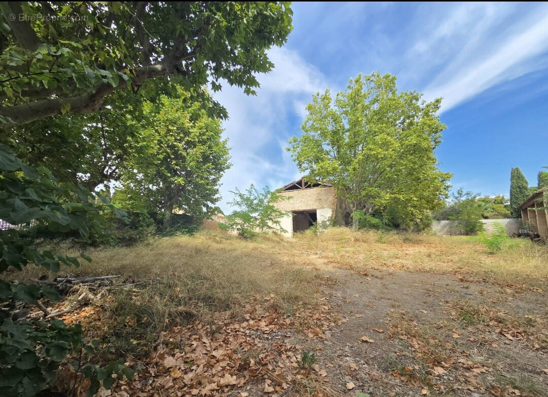 Terrain à PUISSERGUIER