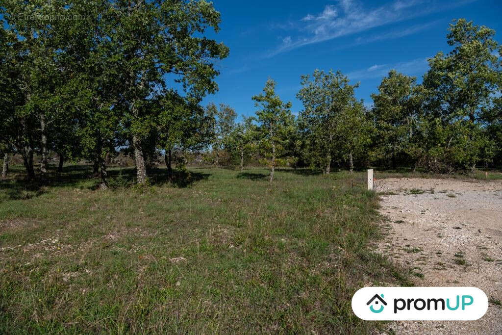 Terrain à LALBENQUE