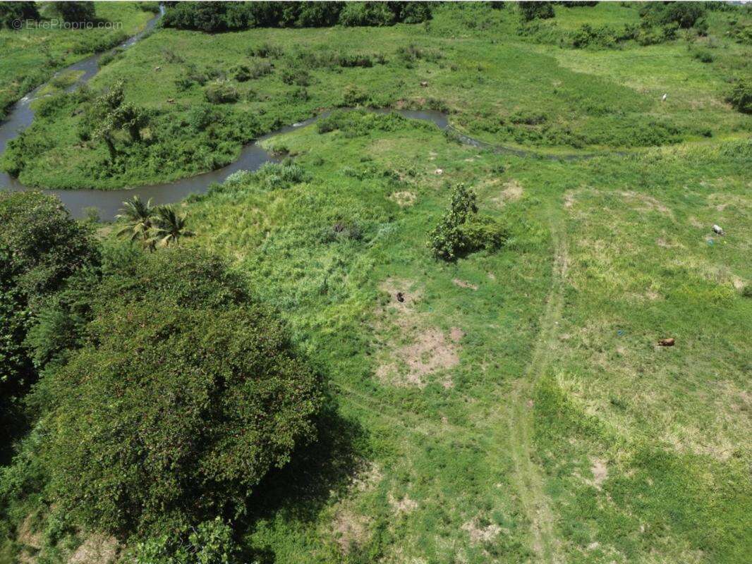 A vendre: terrain 1833 m2 petit-bourg 97170 - photo 3