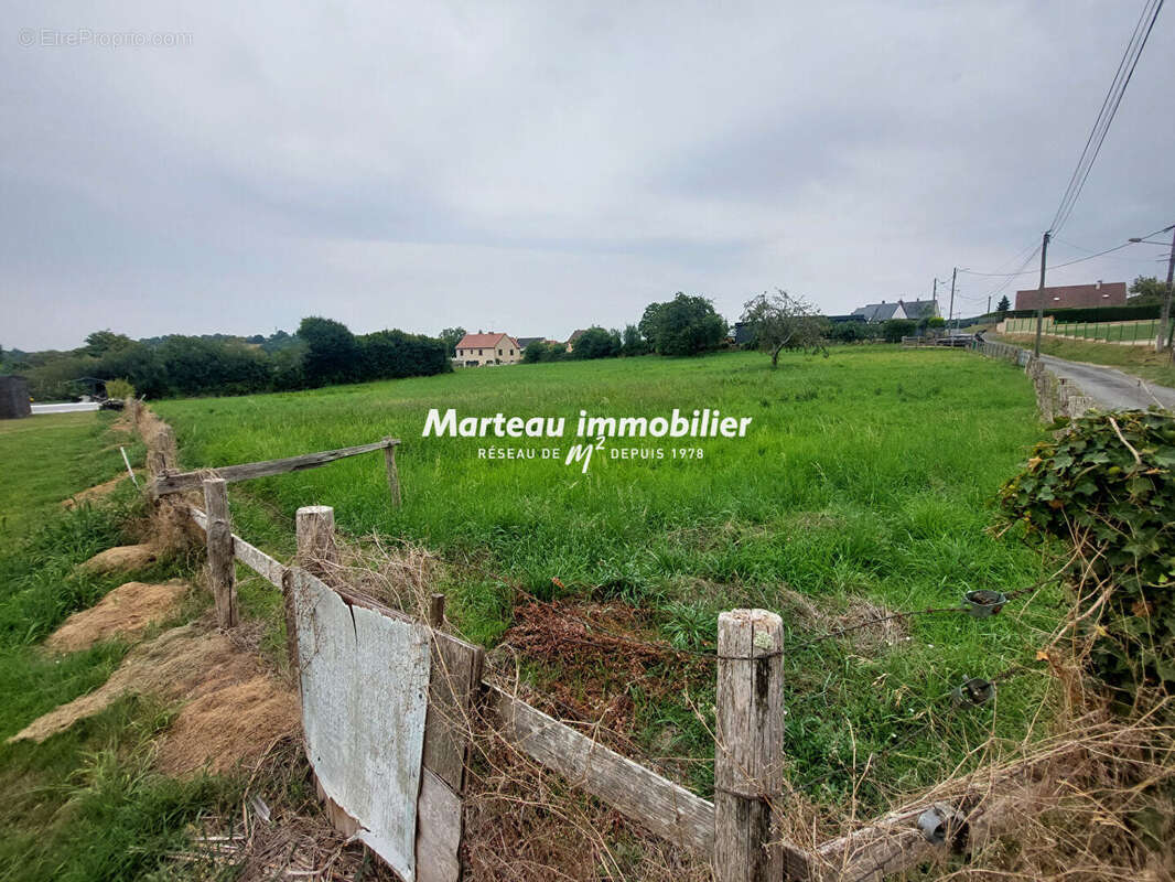 Terrain Vibraye 3000 m2 - photo 2