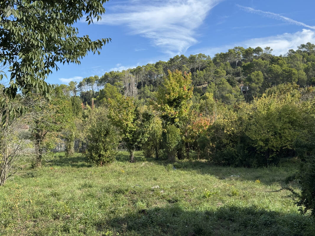 Terrain à CARNOULES