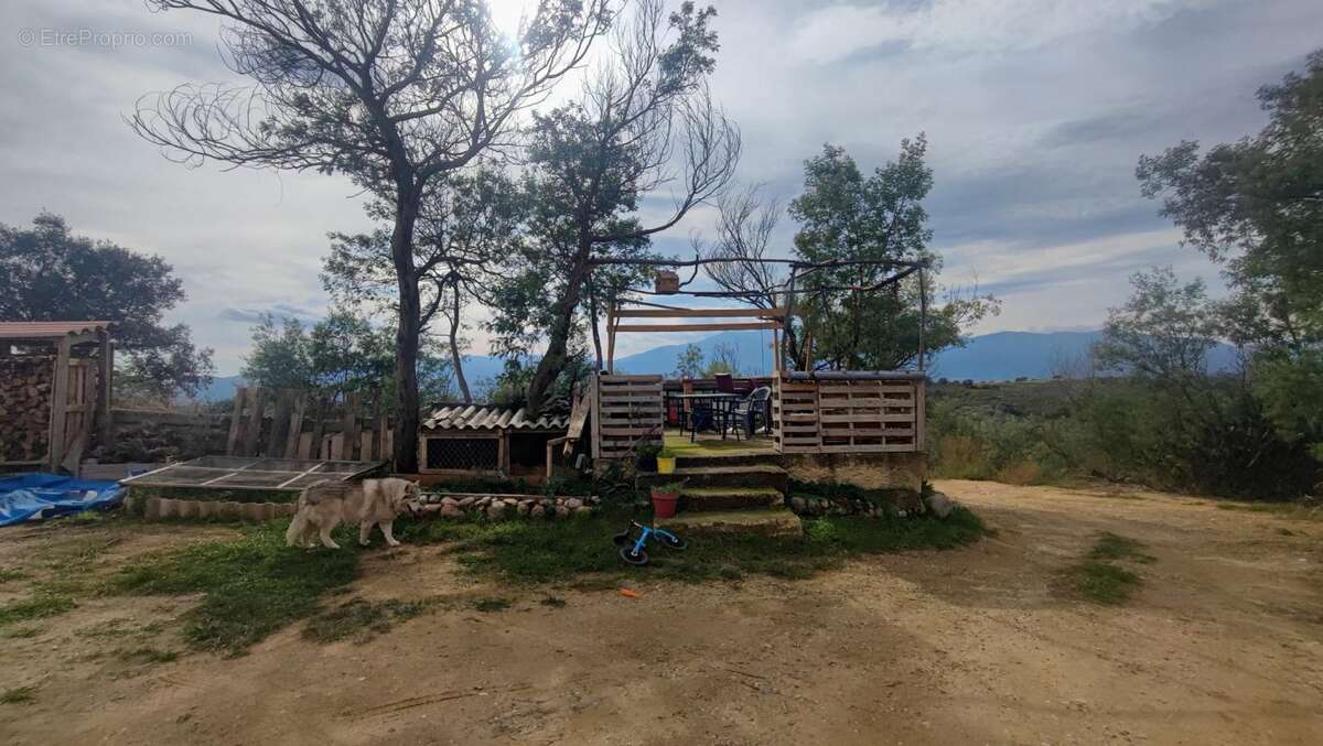 Terrain à SAINT-JEAN-PLA-DE-CORTS