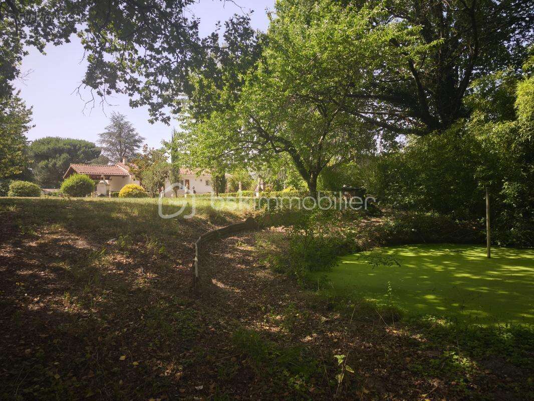 Maisonn plien pied - photo 11