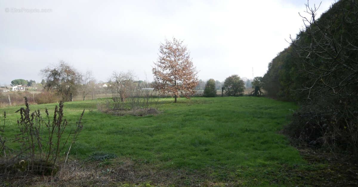 Corps de ferme rénové avec dépendances et terrain de 3 600 m2   Tonneins - photo 14