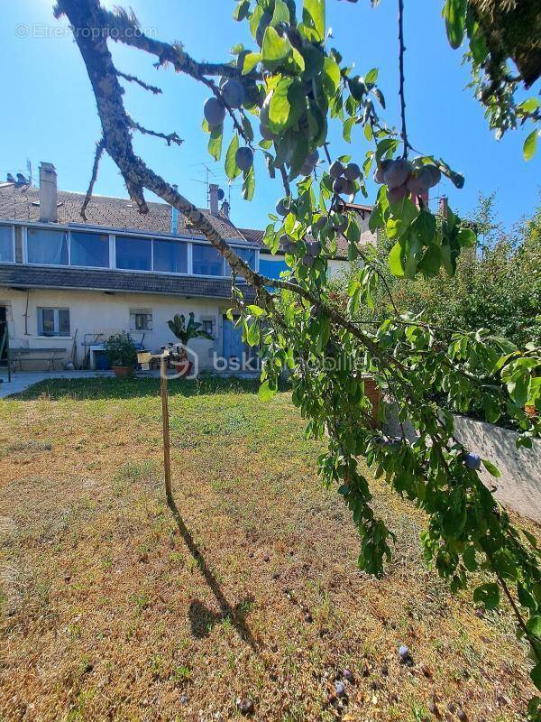 Maison de ville avec jardin, véranda et fort potentiel – À deux pas du centre-ville ! - photo 1