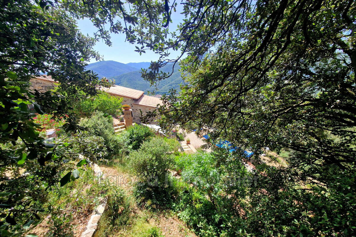 Maison 295 m² à Montbolo  - photo 4