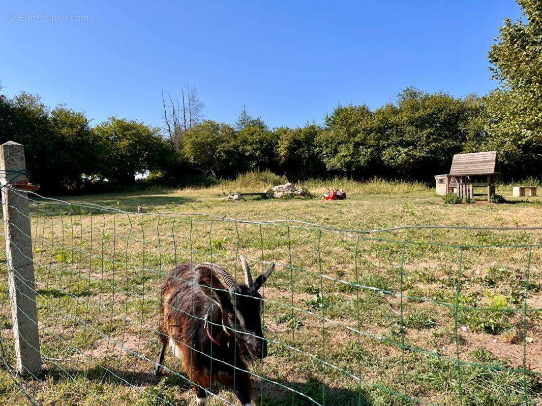 TREPREL superbe terrain de 2320 m2 - photo 7
