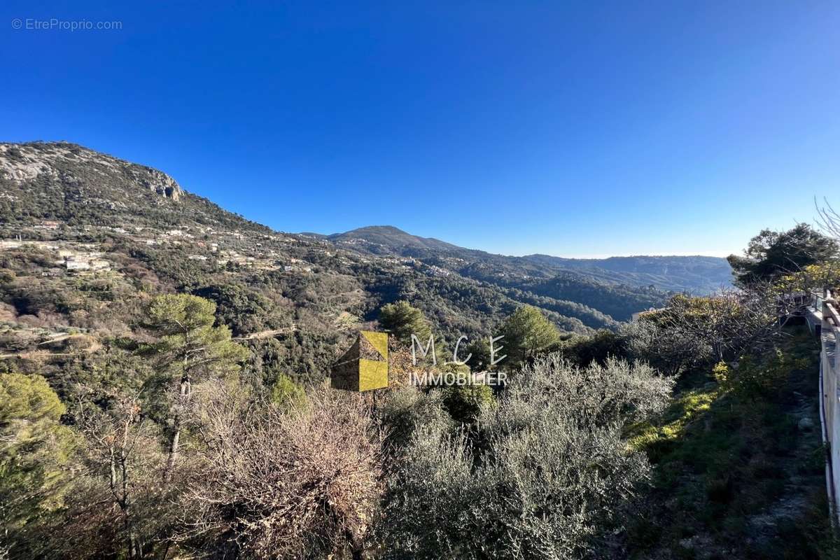 Terrain à CASTAGNIERS