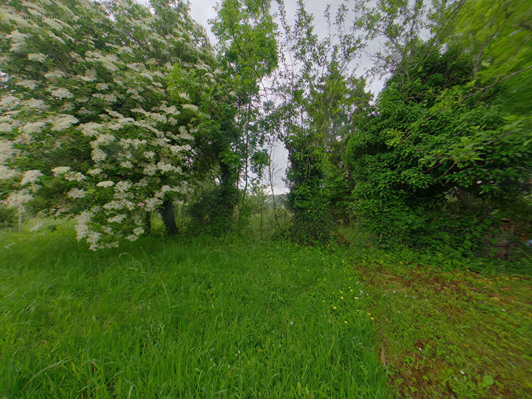 Maison à LE VIGEANT