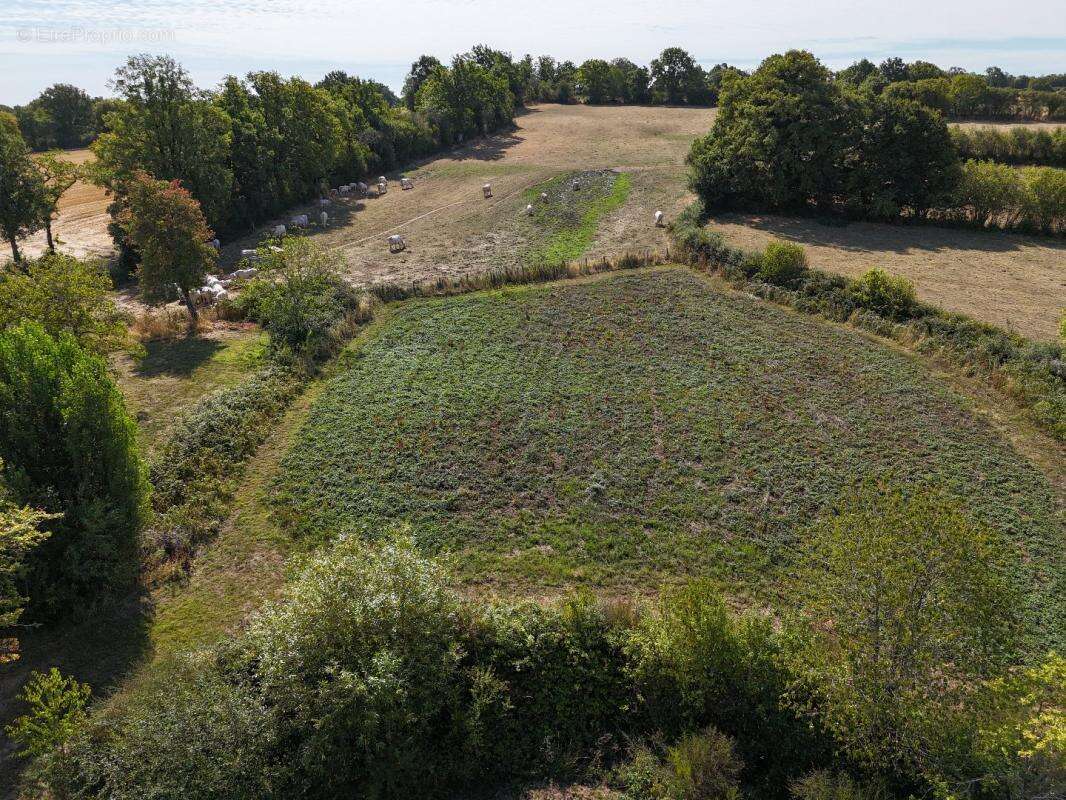 Maison à CHASSIGNOLLES