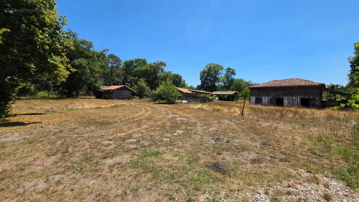 Magnifique et authentique Airial des Landes - photo 36