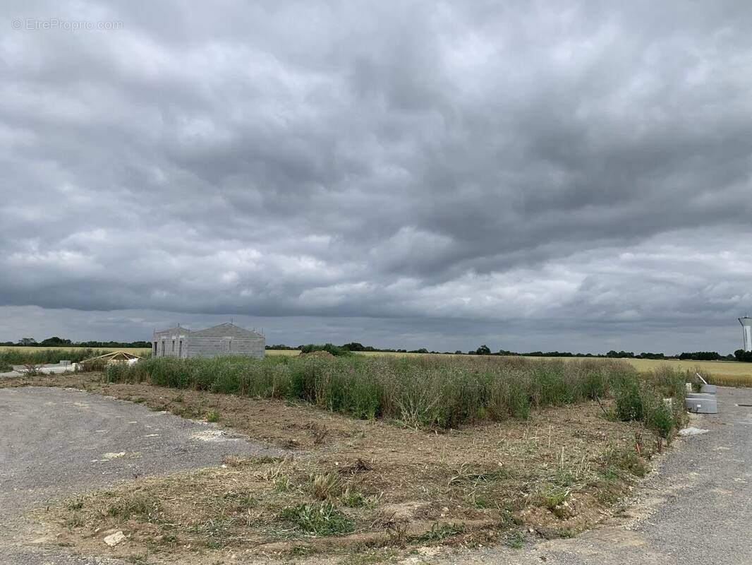 Terrain à SAINT-JEAN-DE-LIVERSAY