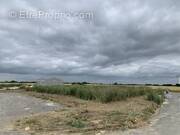 Terrain à SAINT-JEAN-DE-LIVERSAY