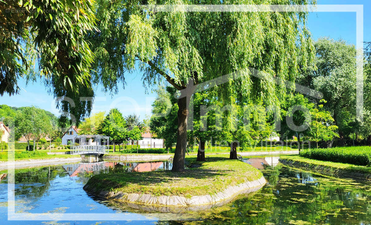 Maison à ESTREELLES